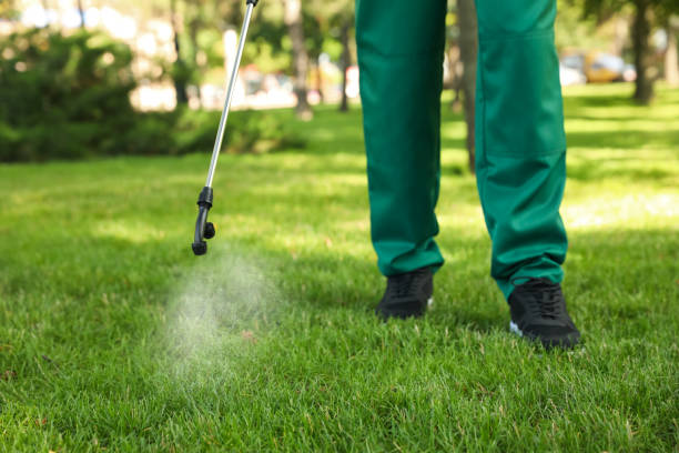 Best Mosquito Control Services  in Potterville, MI
