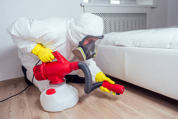 Trusted Potterville, MI Pest Control Experts