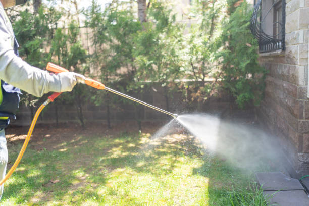 Best Local Pest Control Services  in Potterville, MI