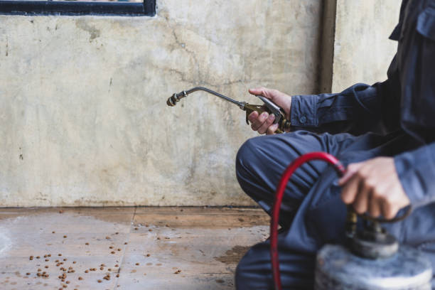 Best Pest Removal Services  in Potterville, MI